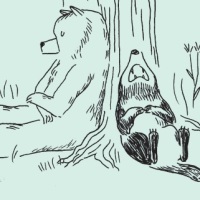 Björn, six histoires d'ours de Delphine Perret